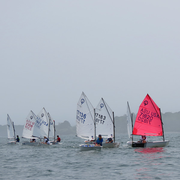 wsa-opti-green-header-mobile wsa-opti-green-header-mobile