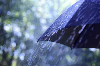 wsa-weather-faq